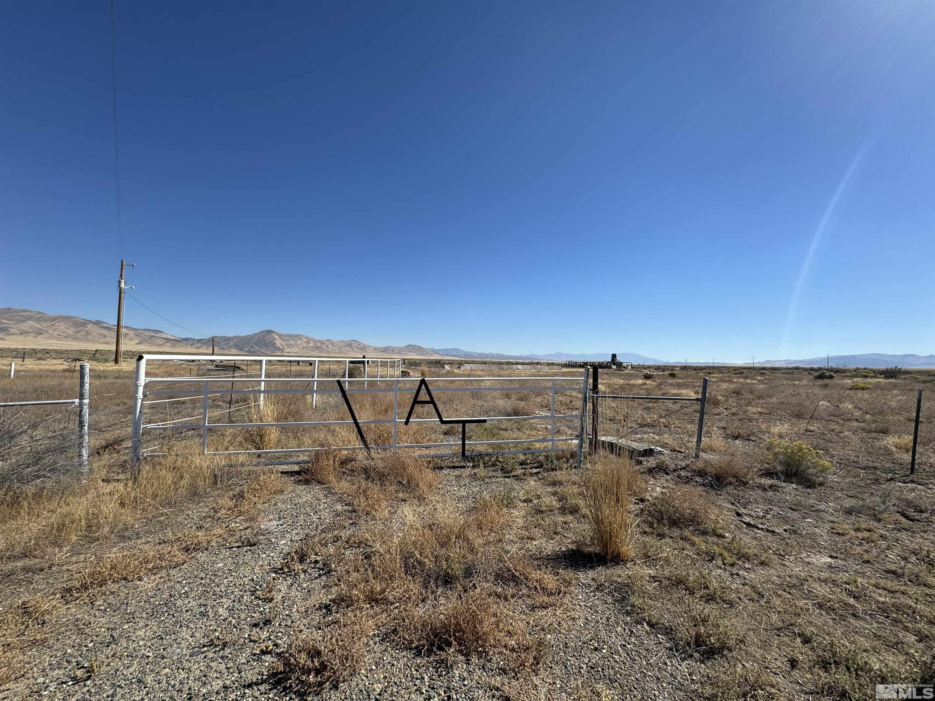 a view of a dry yard