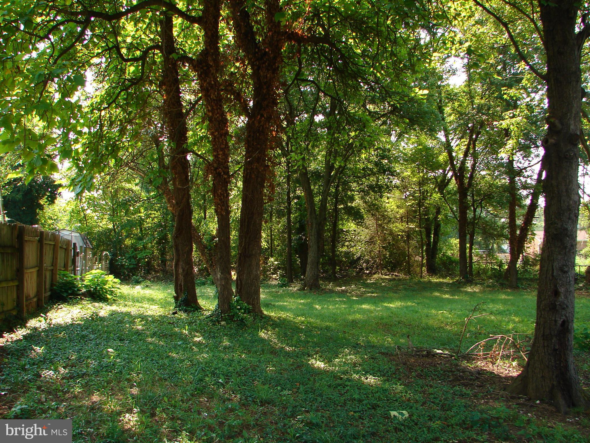 a view of outdoor space with green field and trees