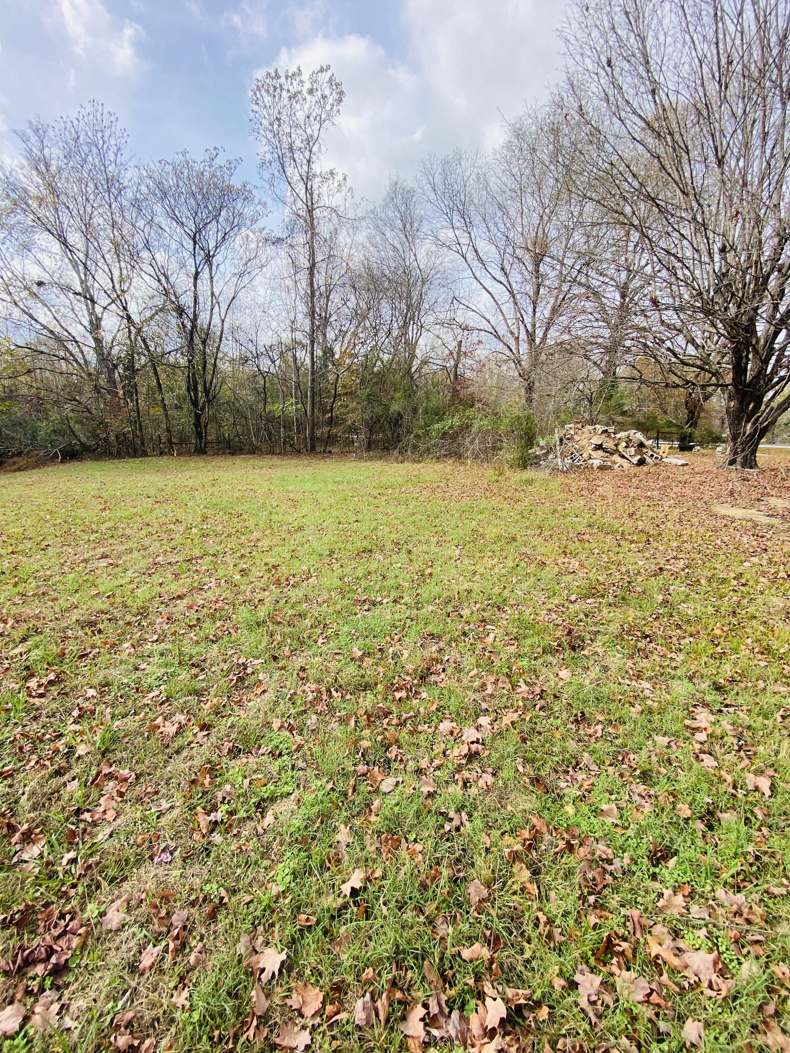 a view of a yard with trees