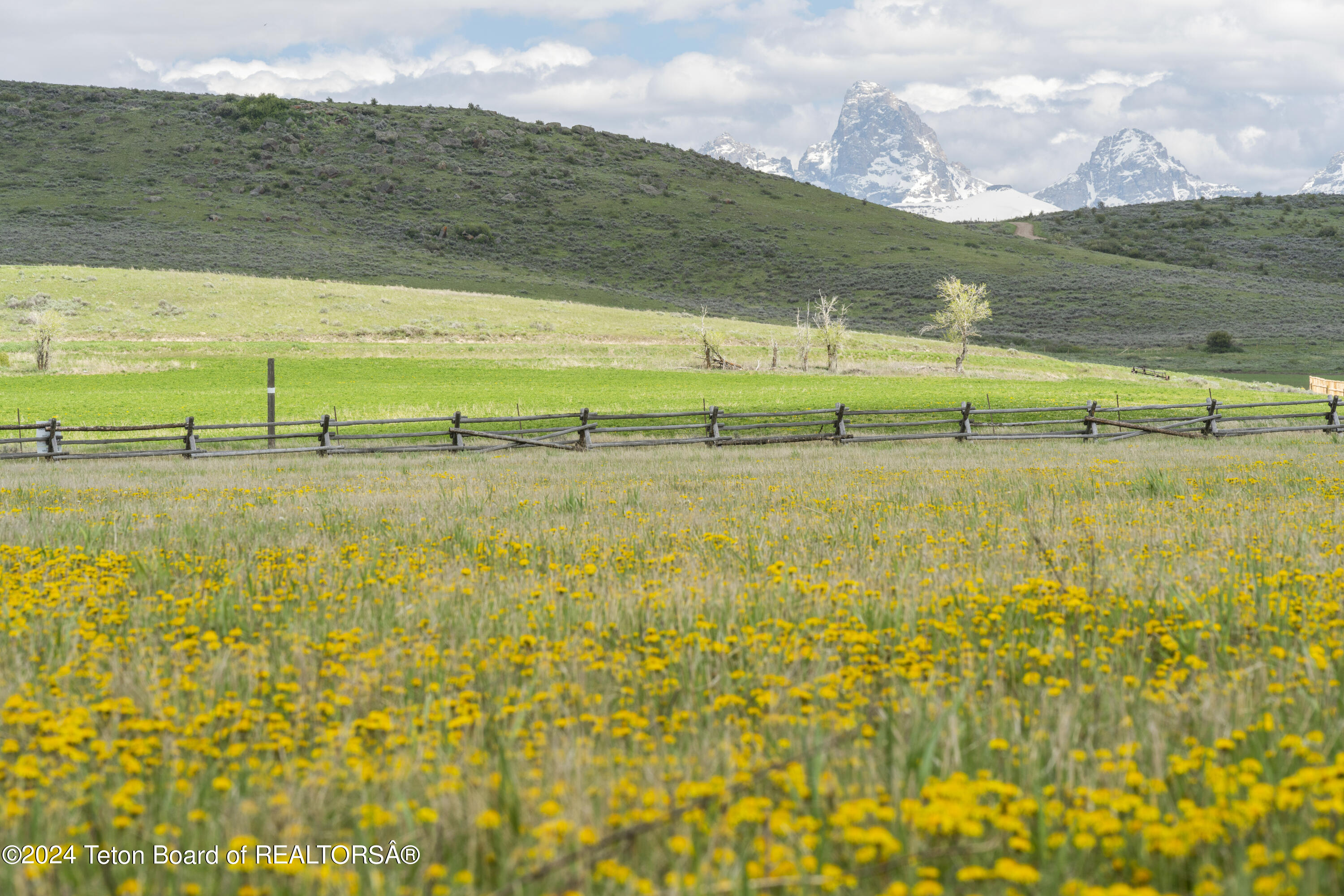 Teton View