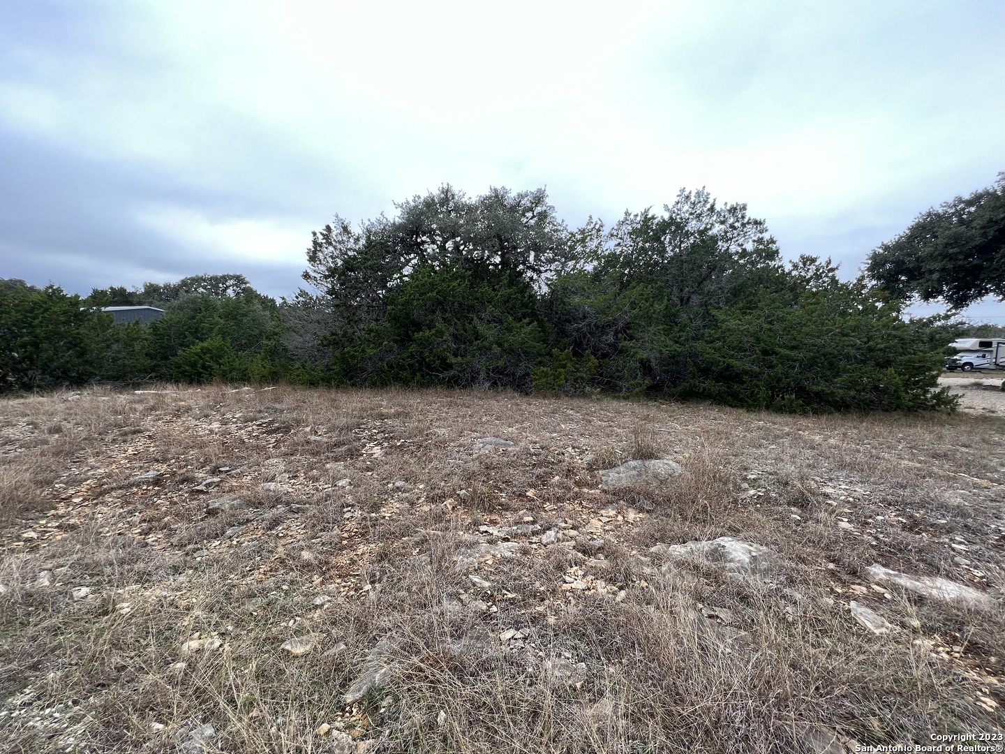 a view of a field with trees in the background