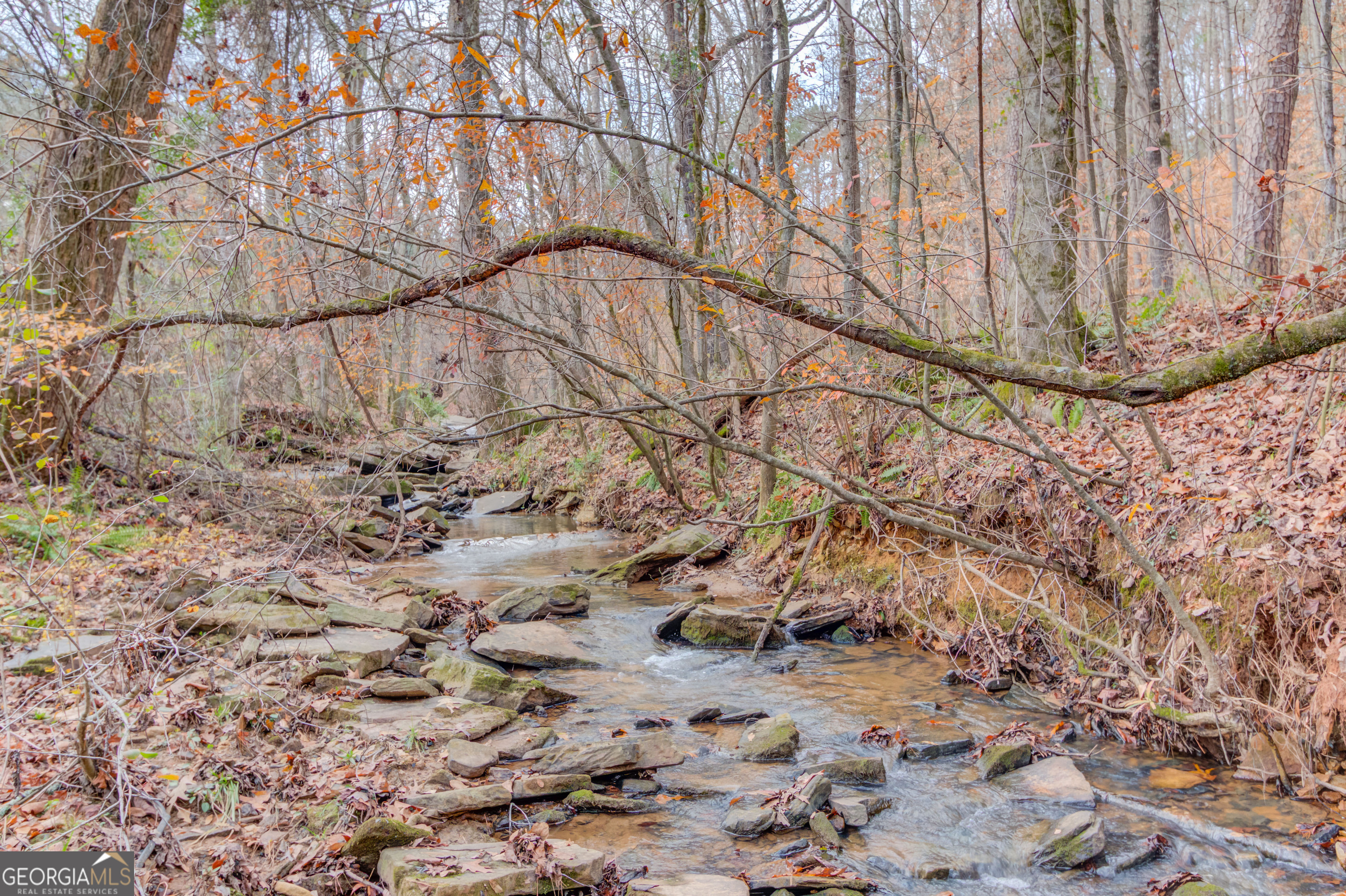 Creek on back side on property