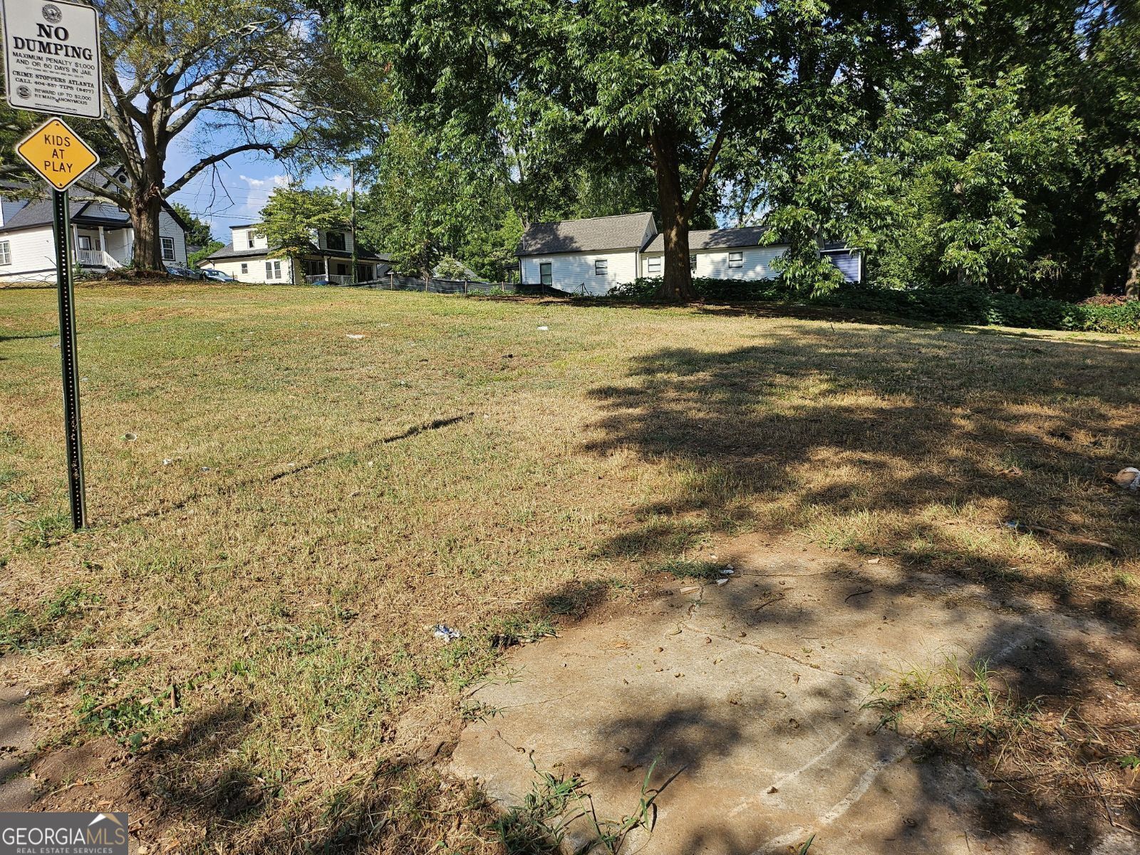 a view of a yard with a tree