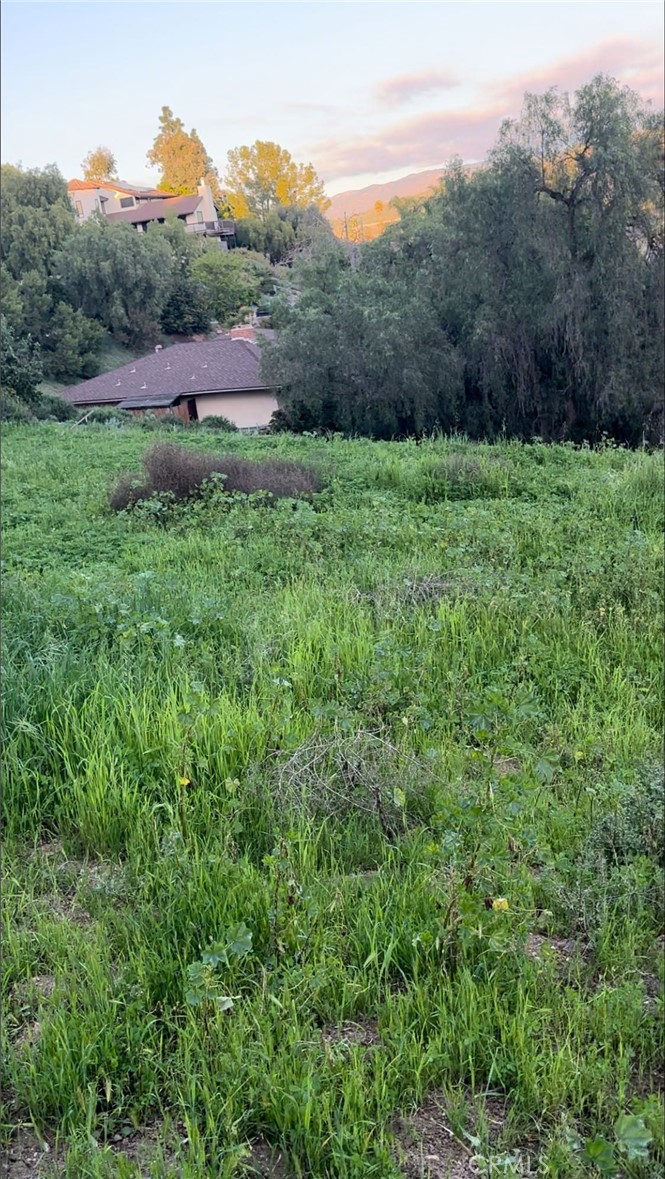 a view of an outdoor space and a yard