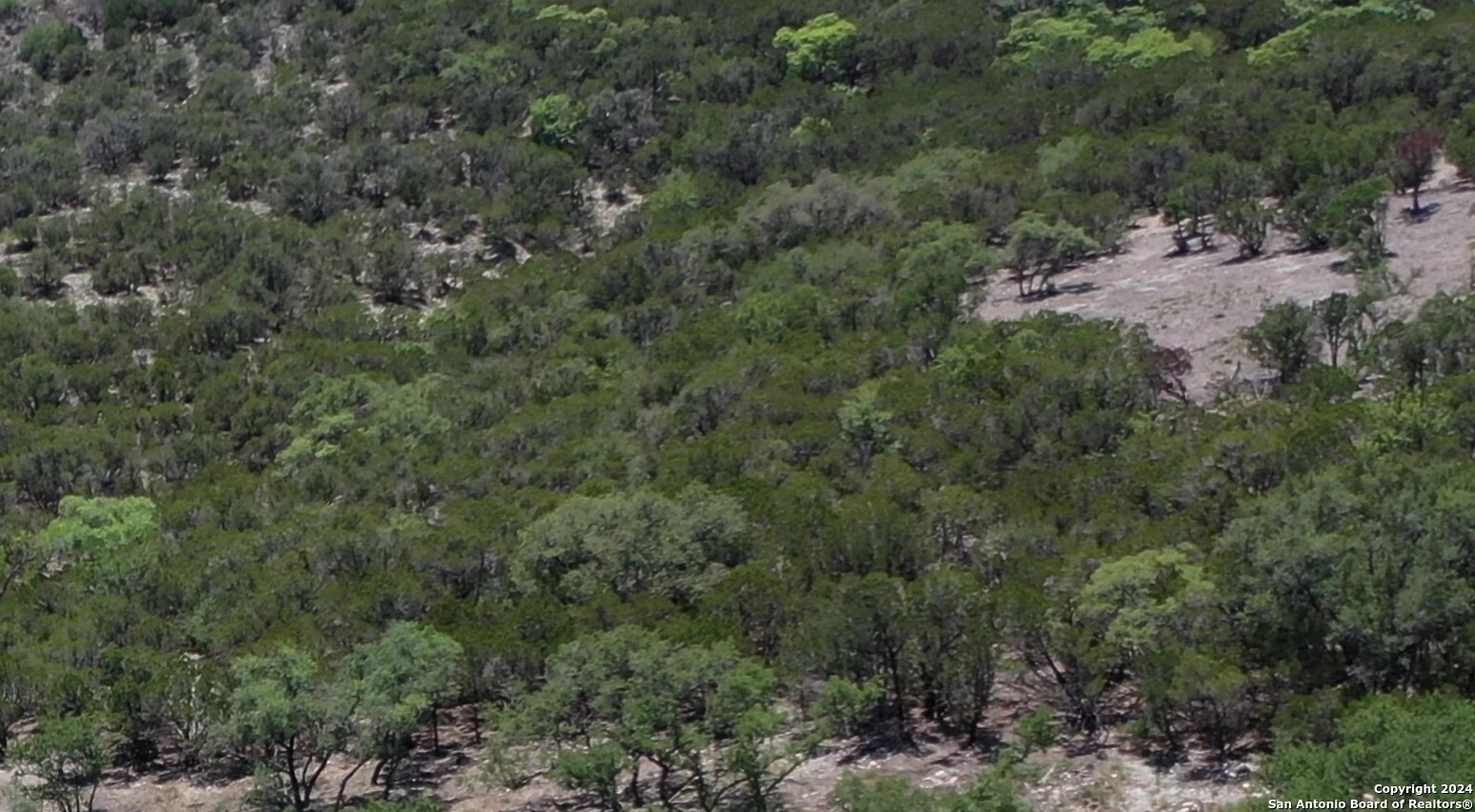 a view of a field of grass and trees