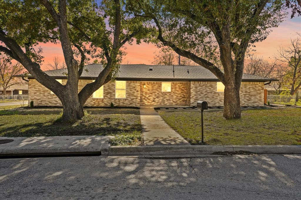 a view of a yard with an tree