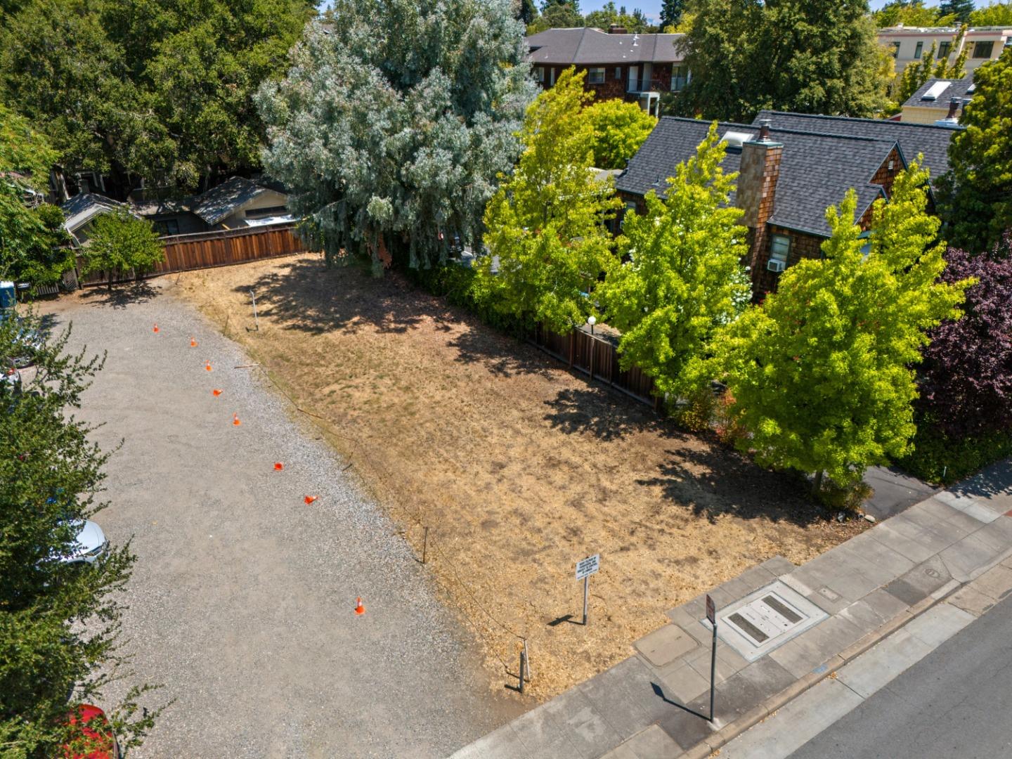 a view of a garden with pathway