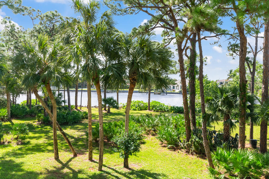 a view of backyard of house with green space