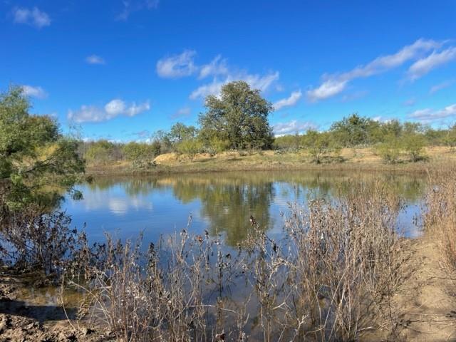 a view of a lake from a yard