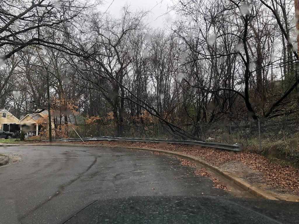 a view of a yard with a trees