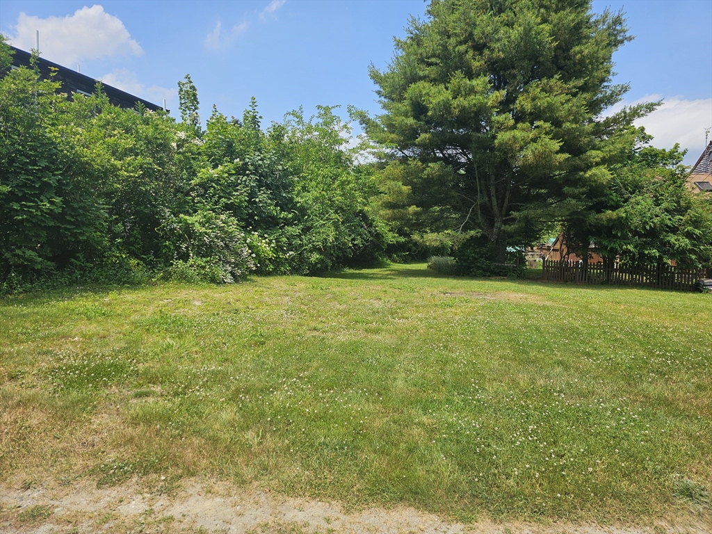 a view of a green field with trees in the background