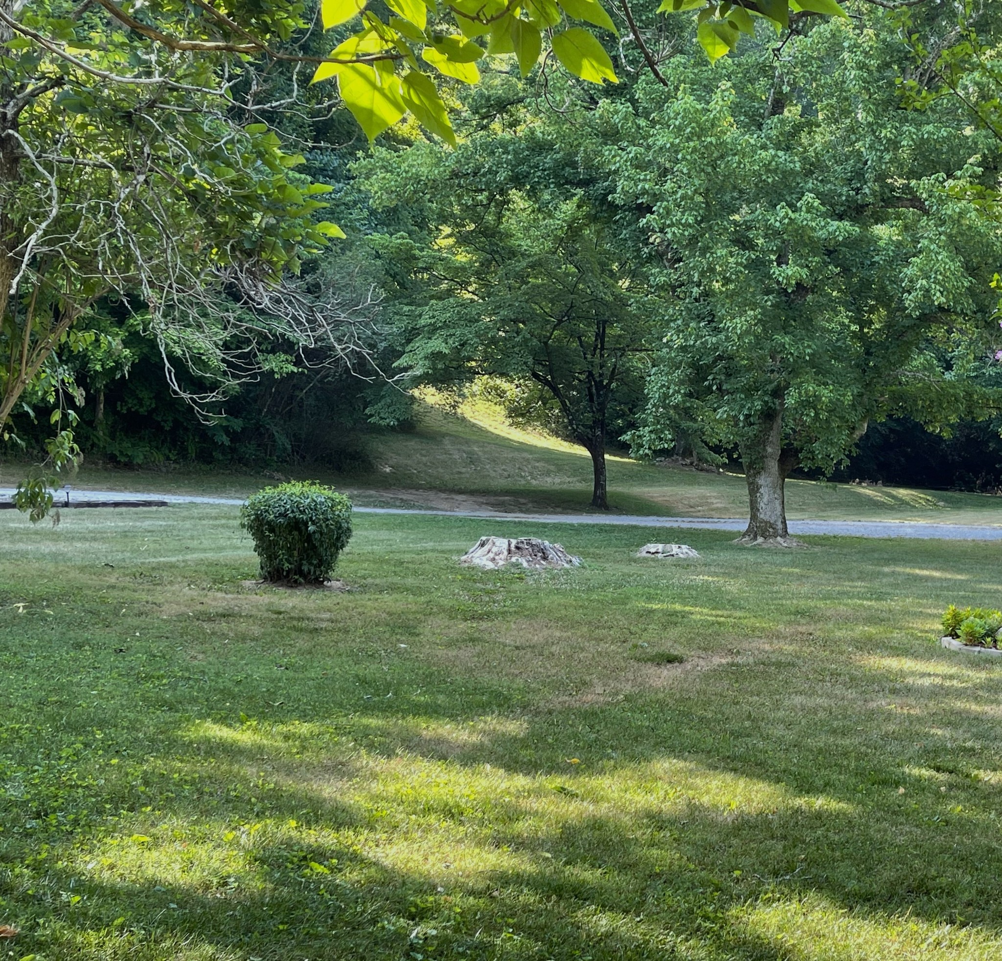 a backyard of a house with lots of green space