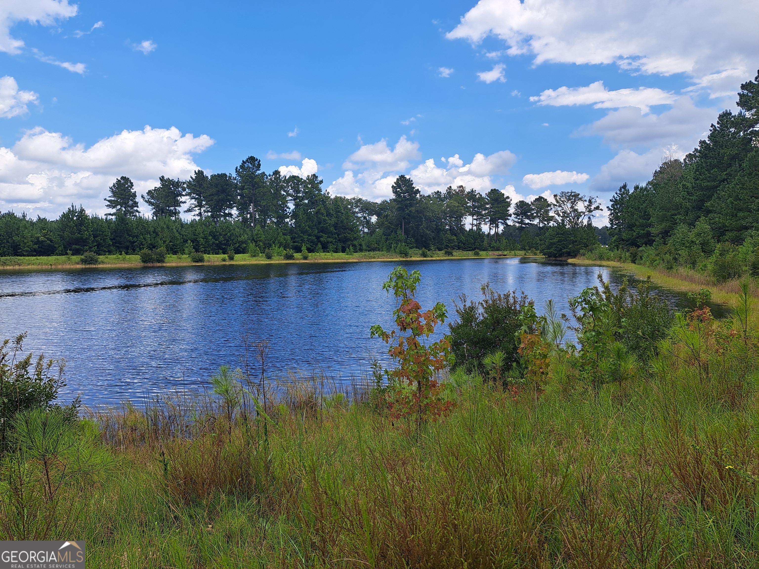 a view of a lake