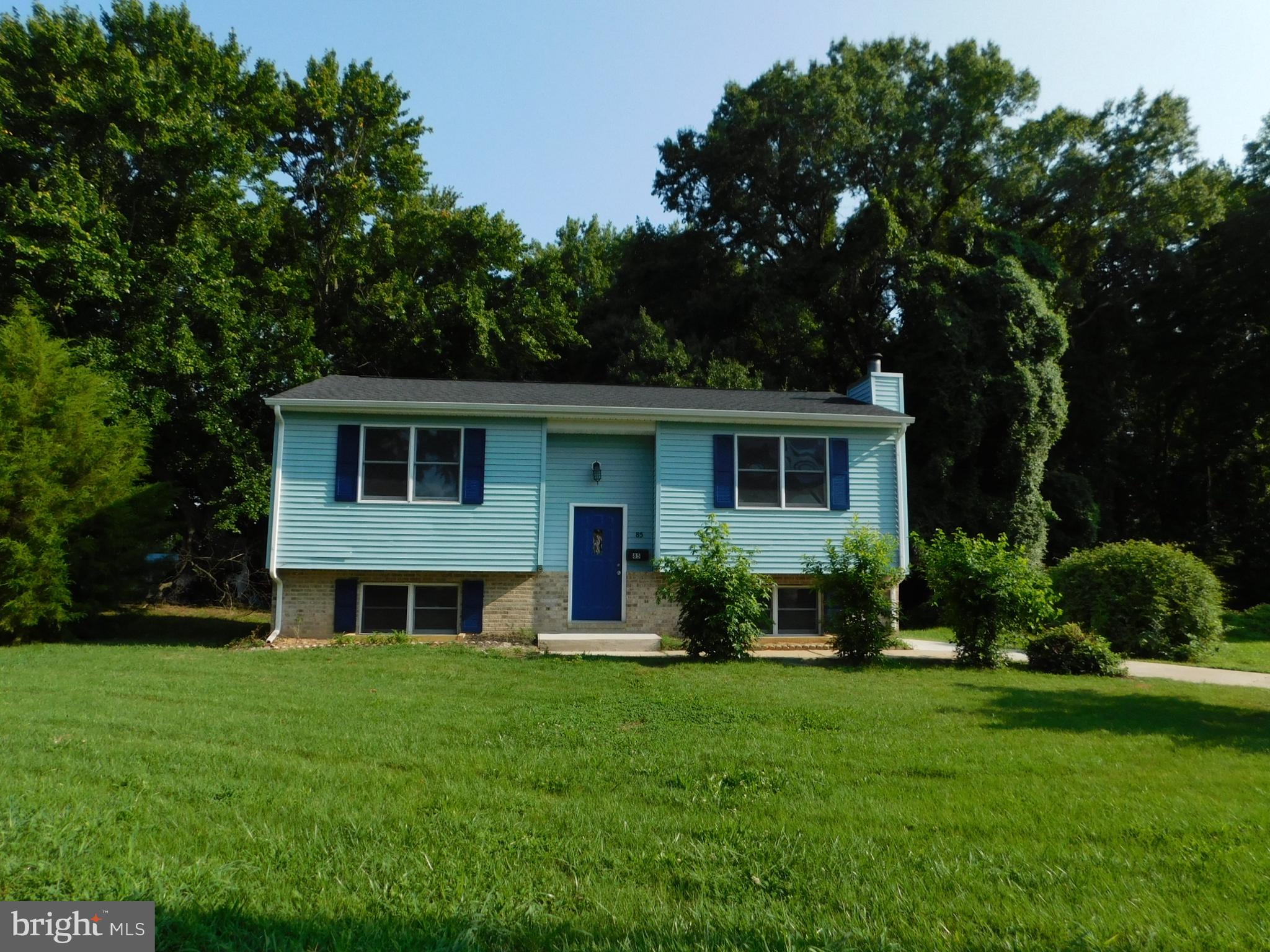 a front view of a house with a yard and green space