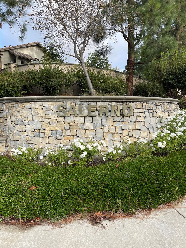 a view of a yard with plants