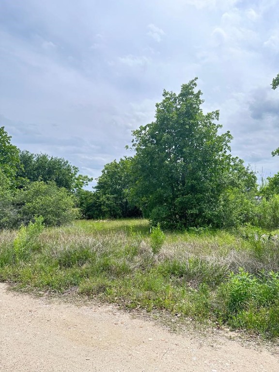 a view of outdoor space and yard