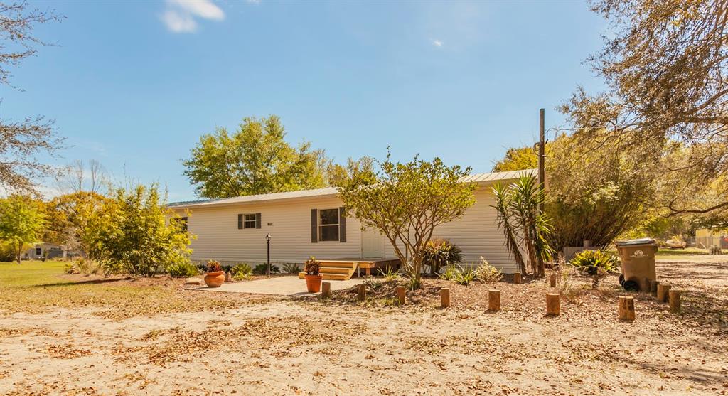 a view of a backyard with a tree