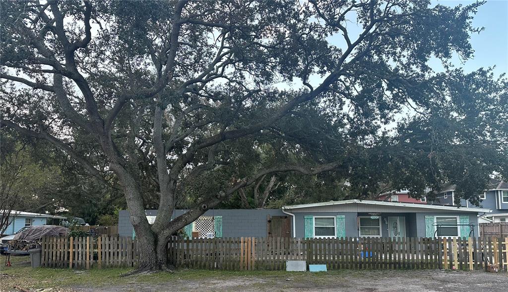 a front view of a house with a tree