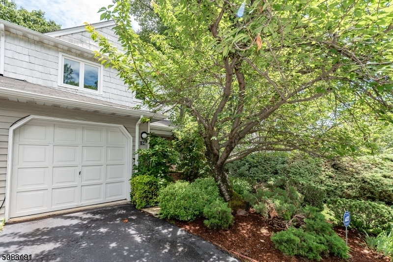 a house with a tree in front of it