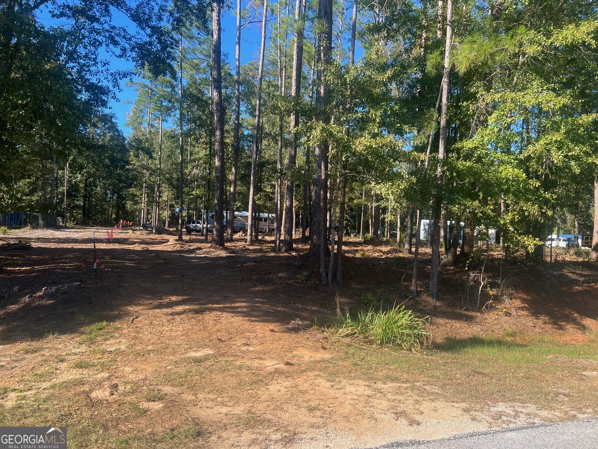 a view of a yard with plants and trees