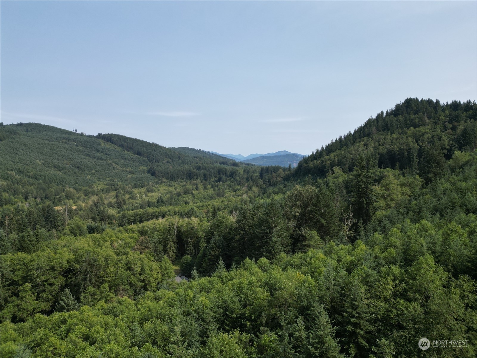 a view of a mountain range with trees in the background