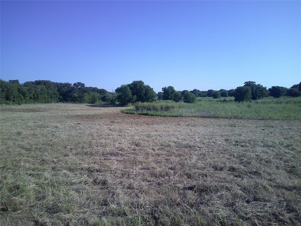 a view of a field with trees in the background