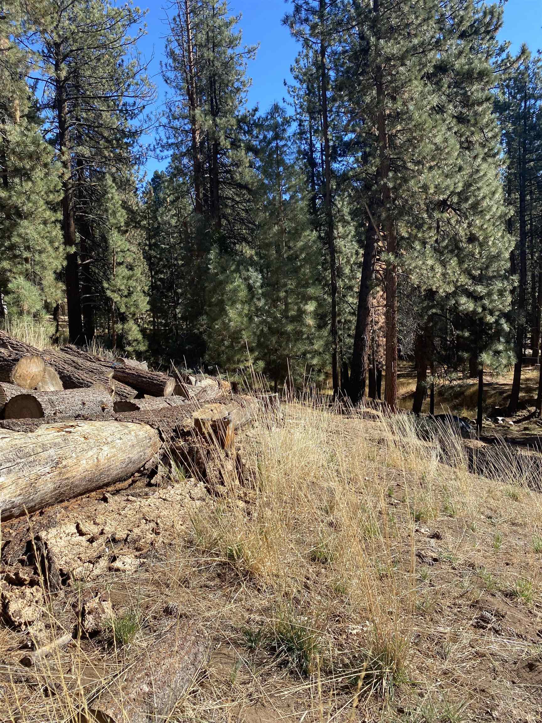 a view of outdoor space with trees