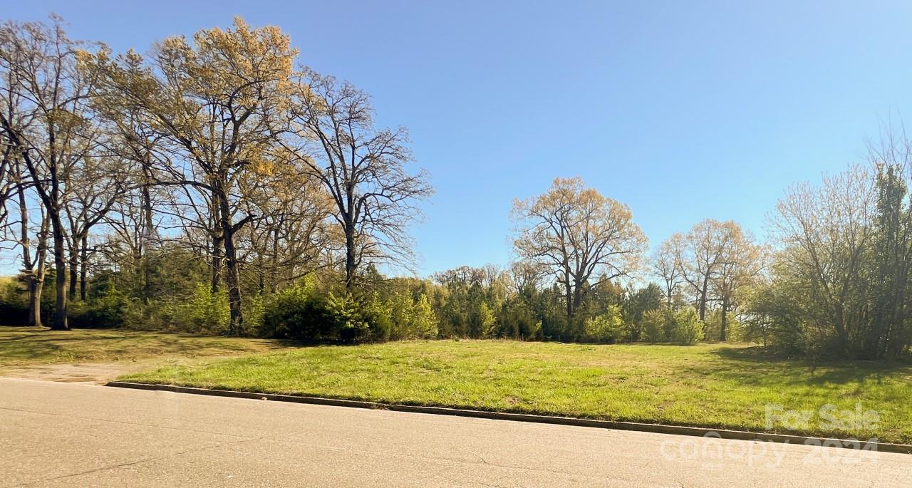 a view of a yard with a trees