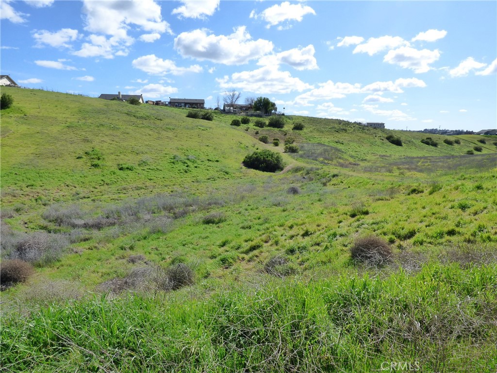 a view of a big yard with lots of trees