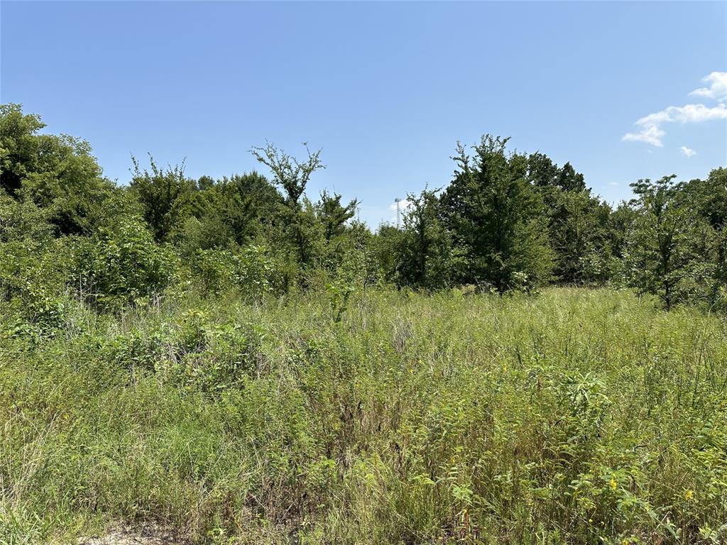 a view of a field of grass and trees