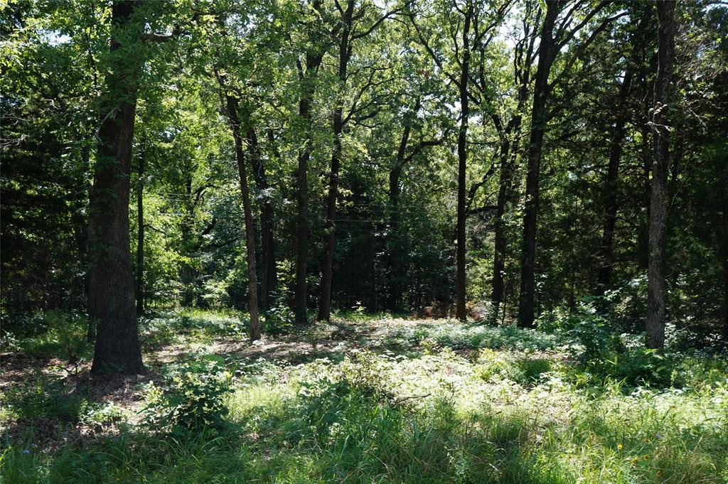 a view of outdoor space and green space