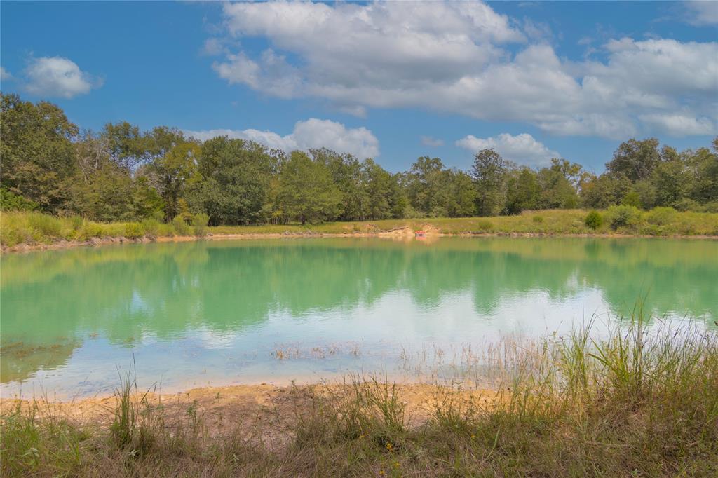 a view of a lake from a yard