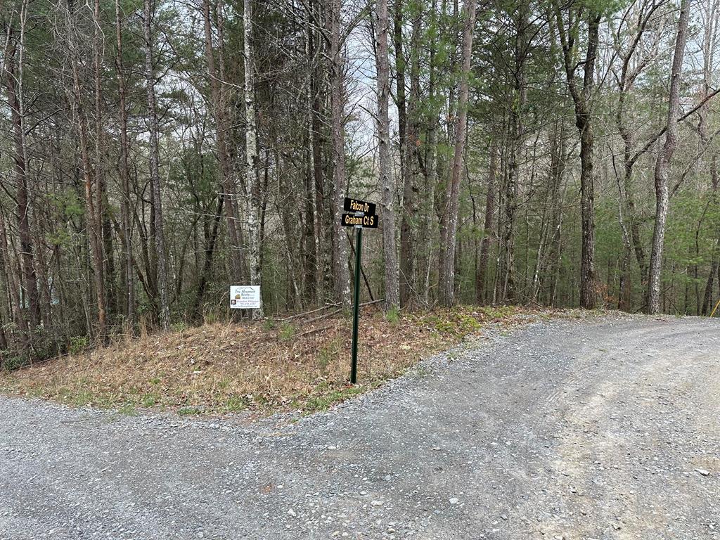 a flag is sitting in the middle of forest