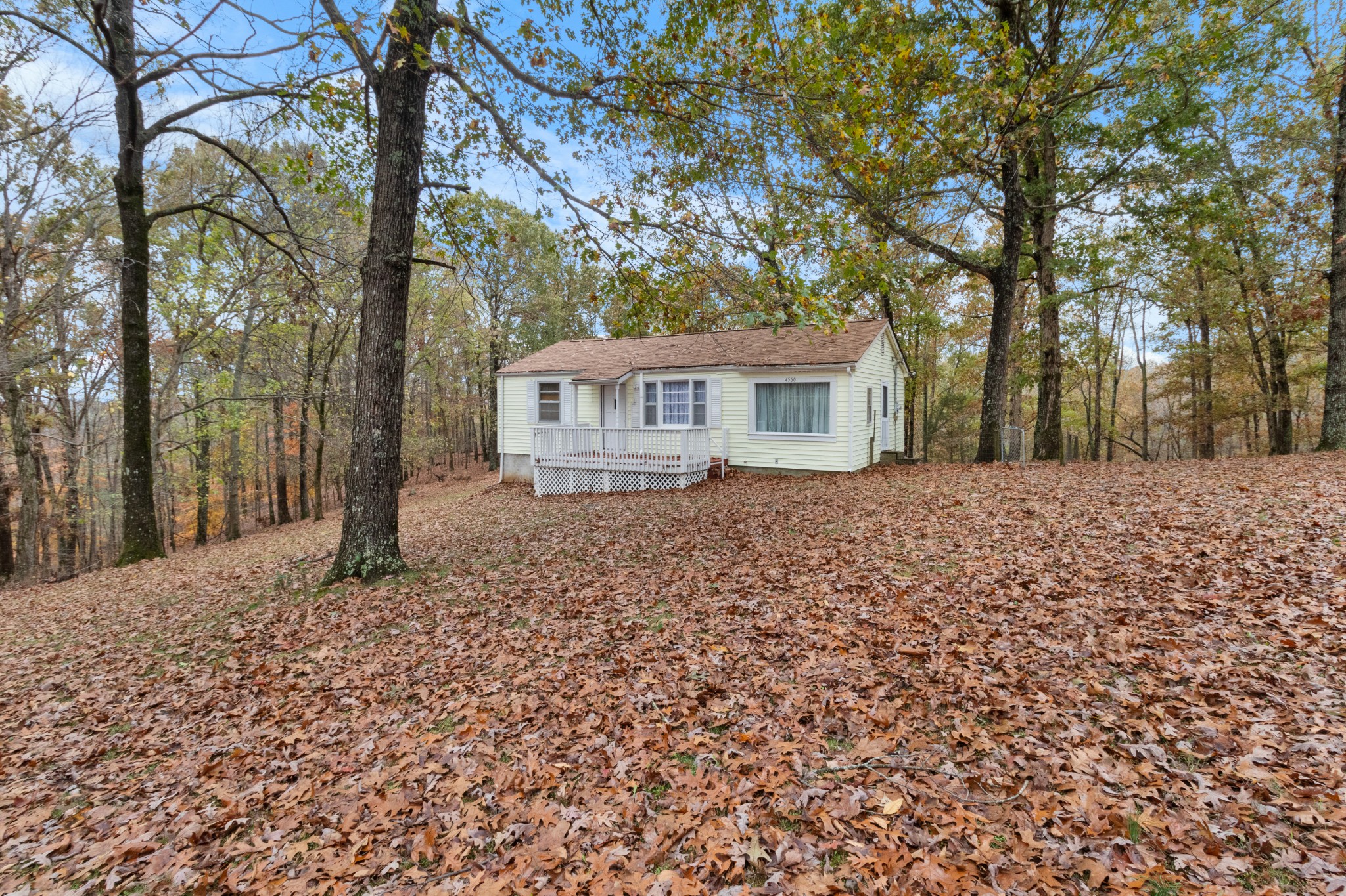 a house with trees in front of it