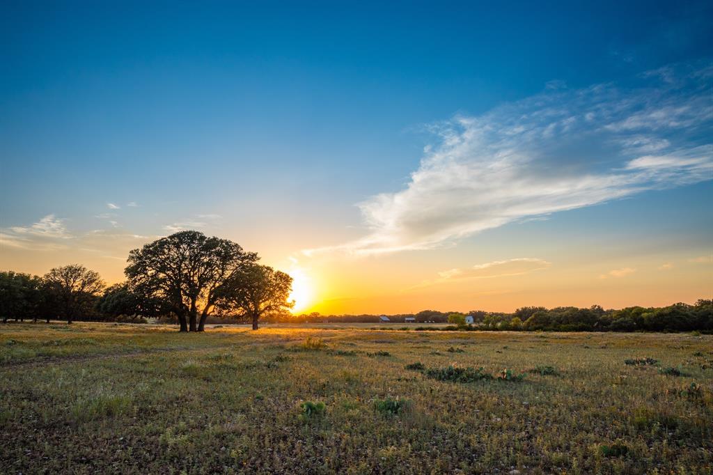 a view of a field with trees in the background