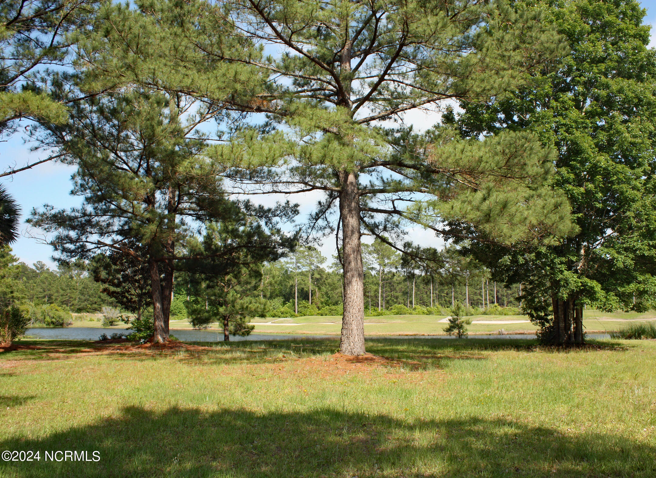 Waterview Homesite on Leopard's Chase