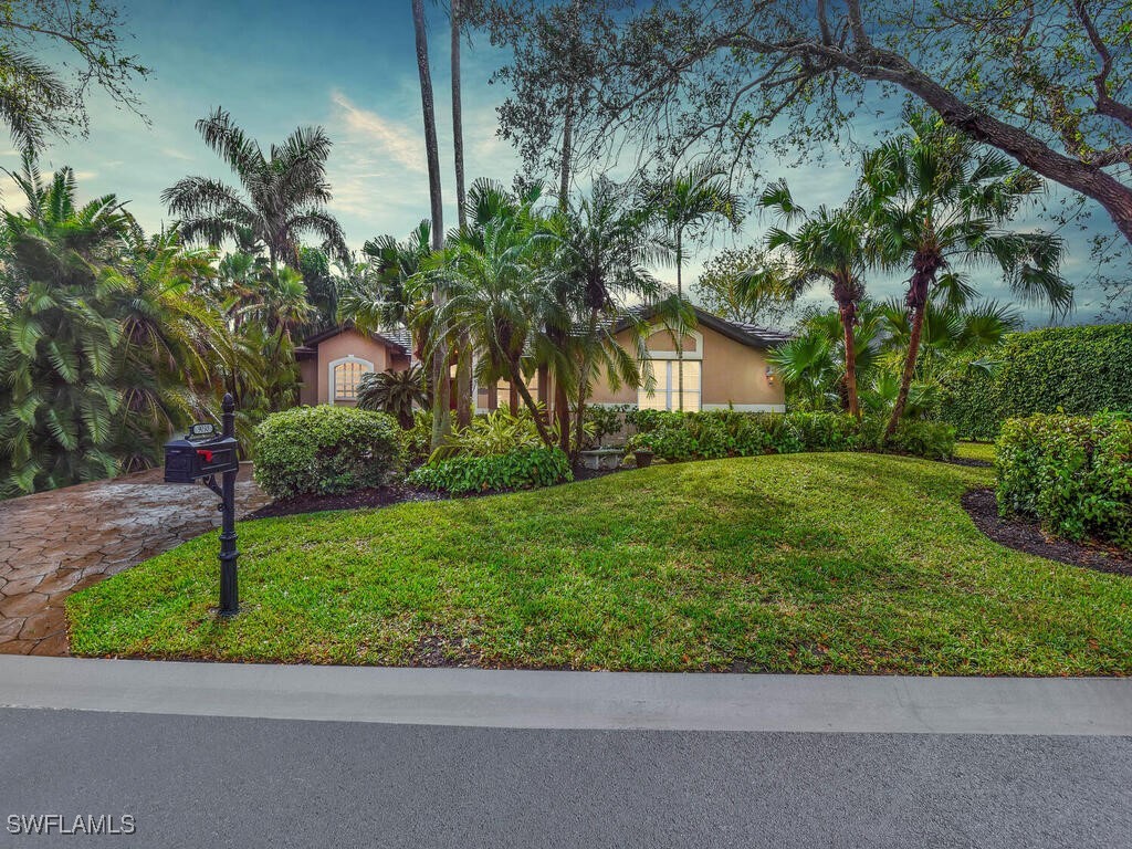 a view of backyard with a garden and plants