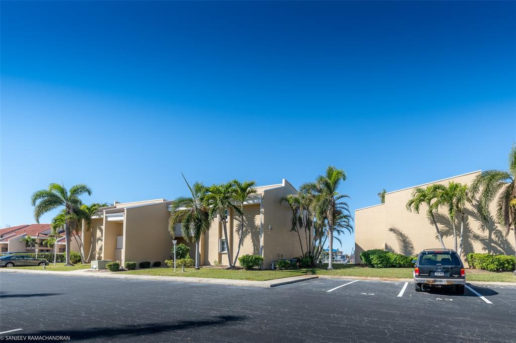 a palm tree sitting in front of a building with trees