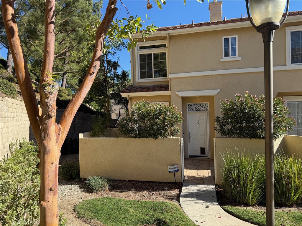 front view of a house with a tree