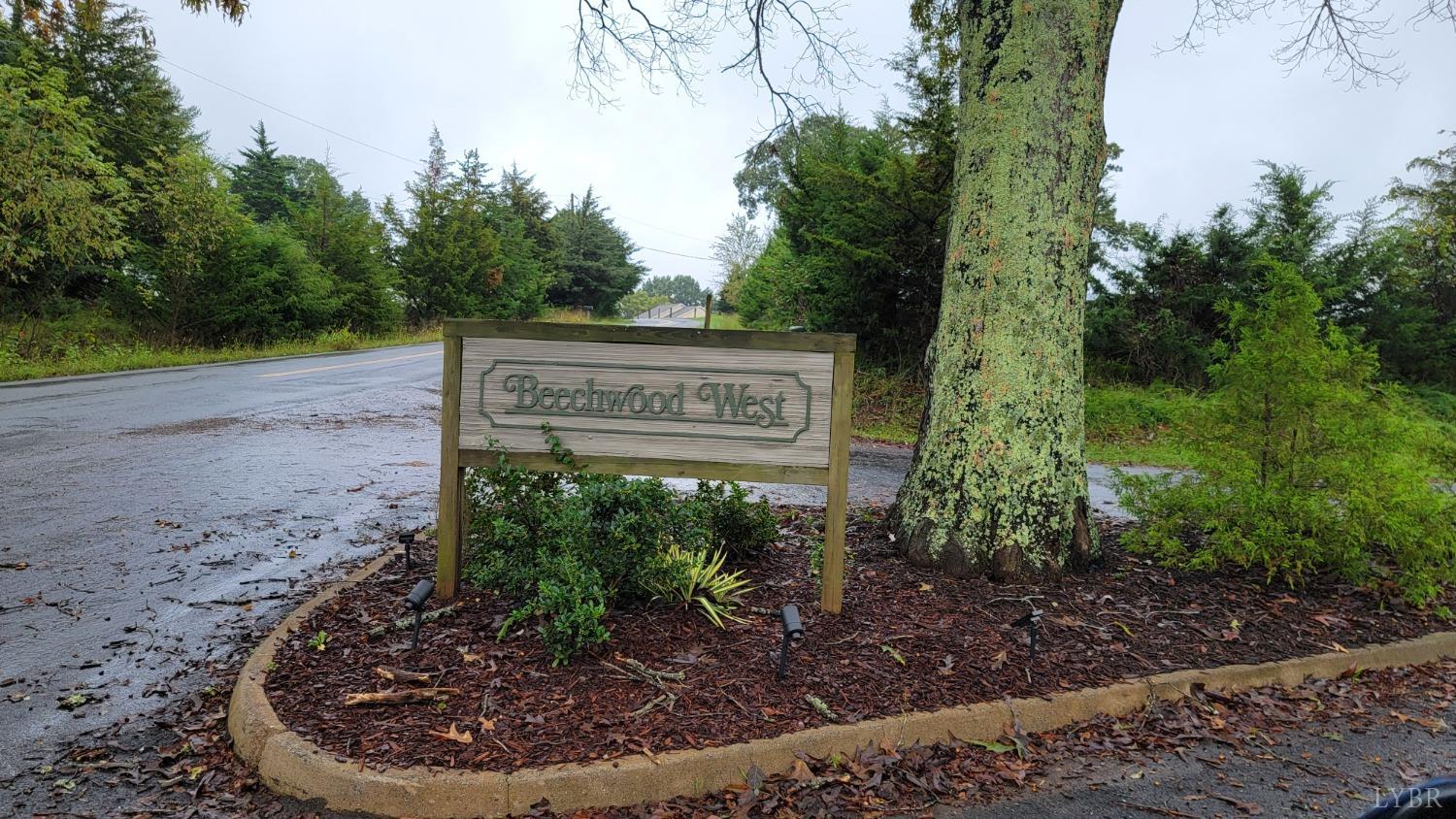 a view of a park with plants