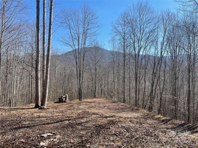 $550,000 | 264 Cabin Flats Road, Unit 264 | Scott Creek Township - Jackson County