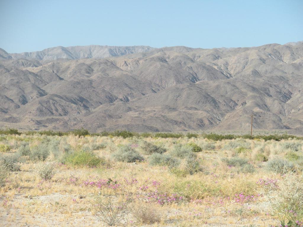 a view of mountain view