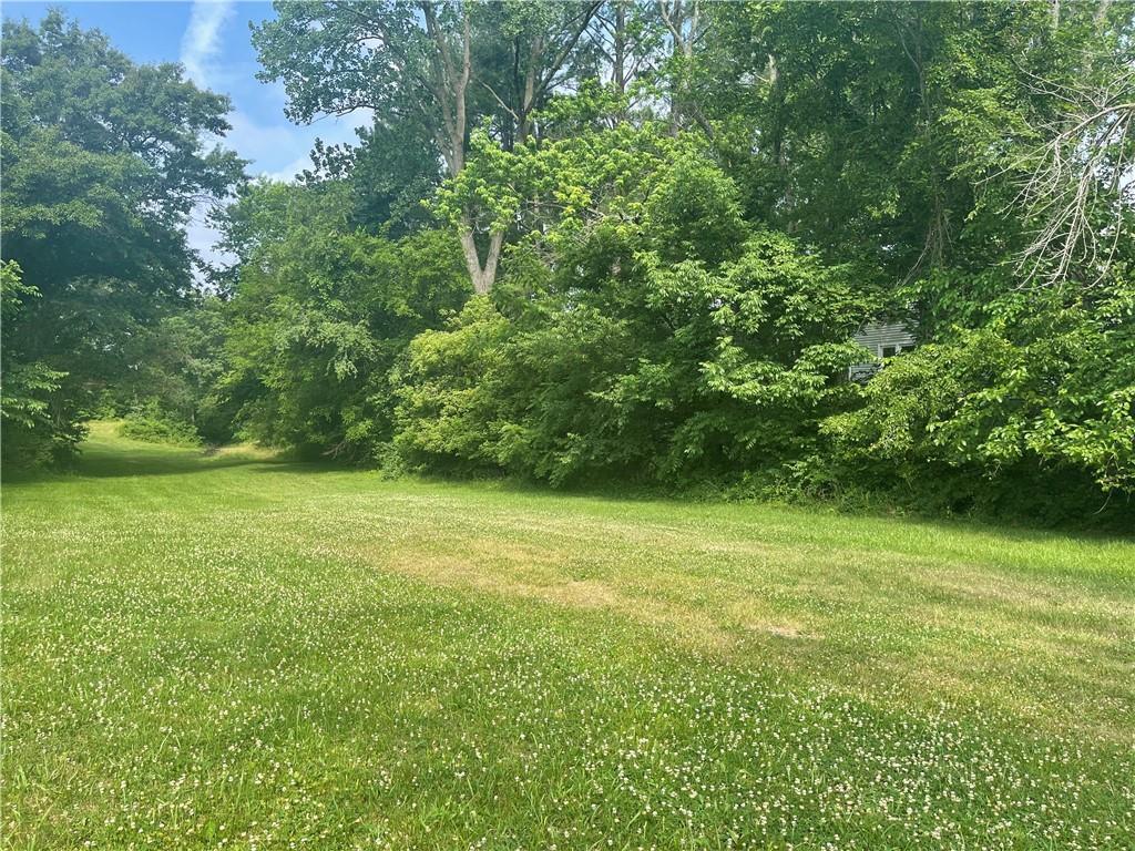 a view of a field with a trees