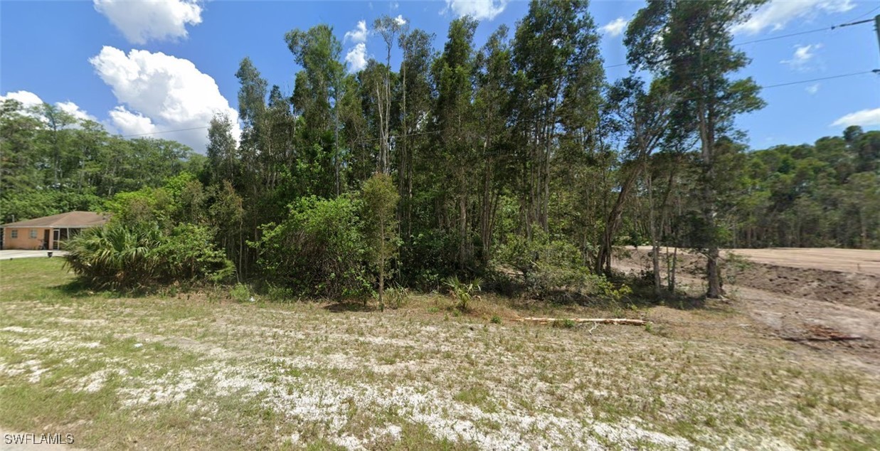 a view of outdoor space and trees