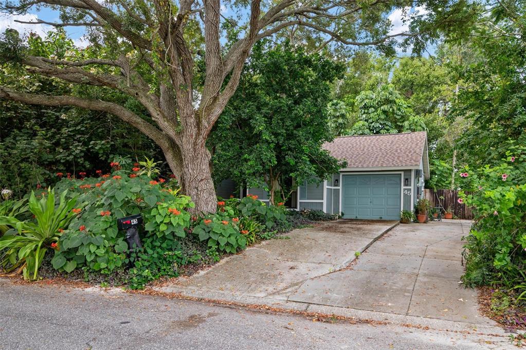 front view of a house with a garden