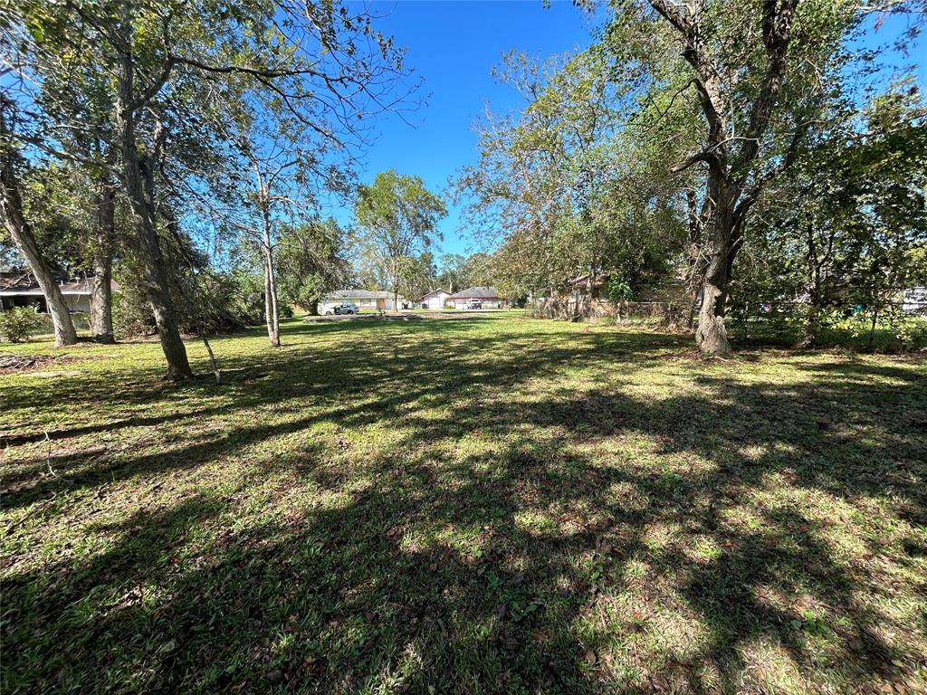 a view of a field with a tree