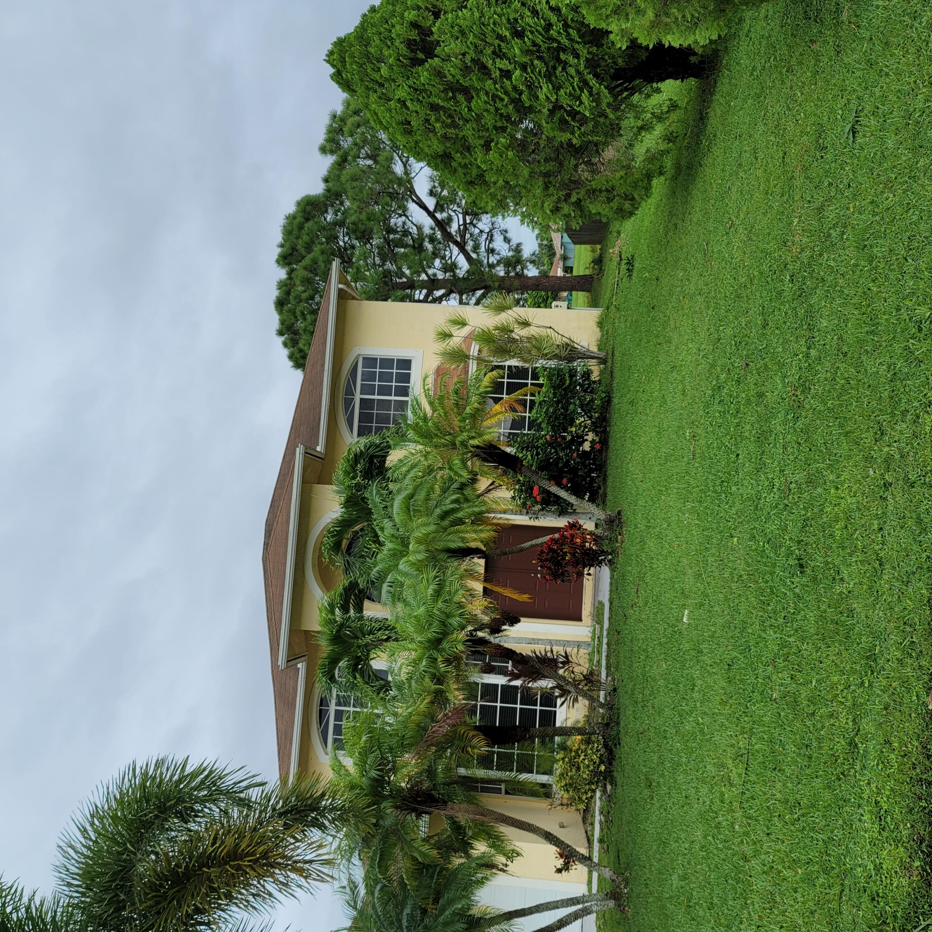 a garden with trees in front of it