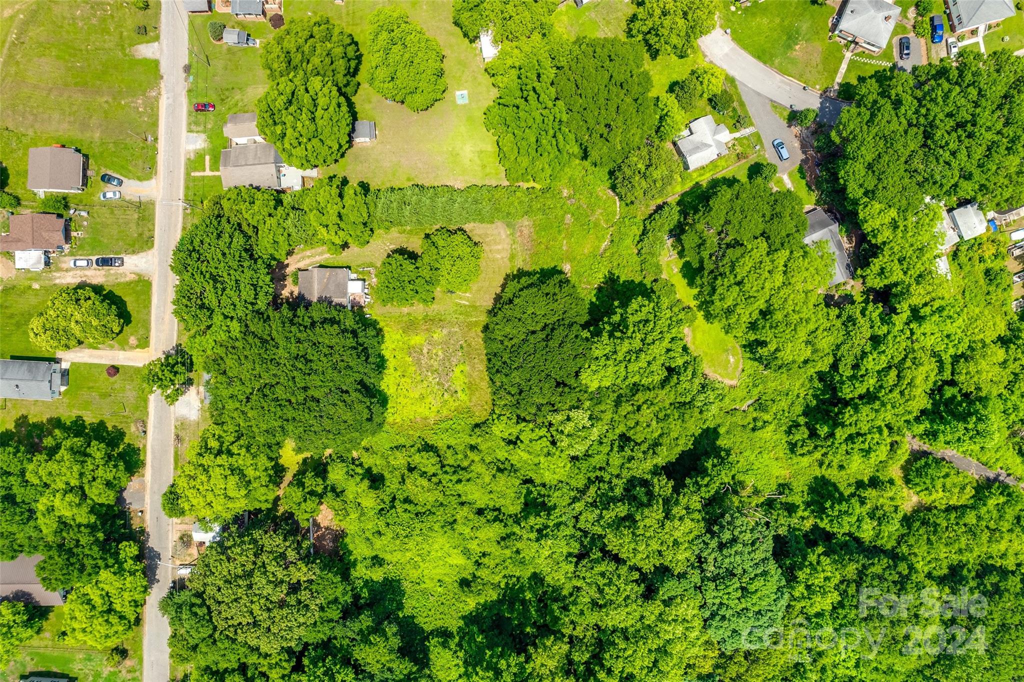 a view of a garden with plants