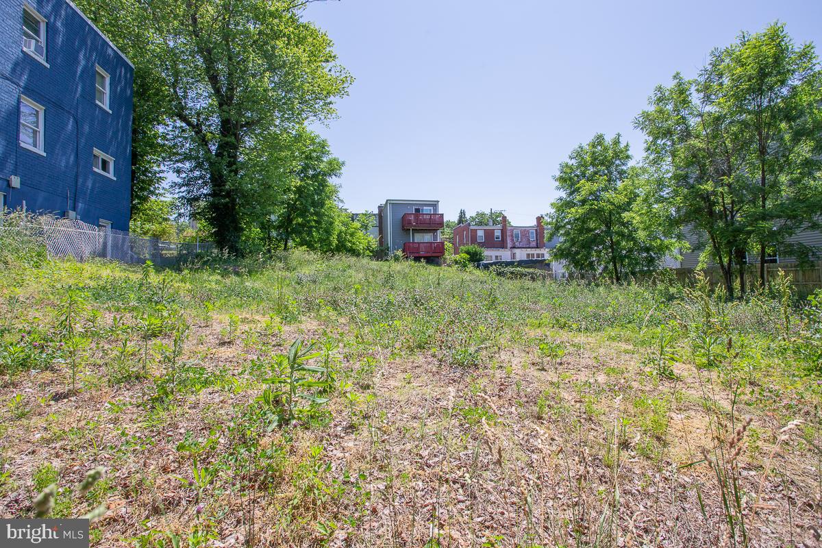 a backyard of a house with lots of green space and trees