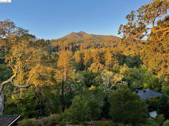 $5,500,000 | 10 North Ridgewood Road | Kentfield